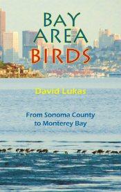 Bay Area Birds