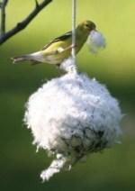 Nest Material Ball