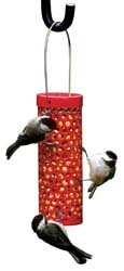 Chickadees on Peanut Feeder