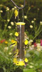 Quick-Clean Finch Feeder