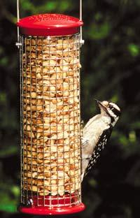 Peanut Feeder