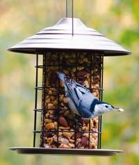 Tidy Seed Cylinder Feeder