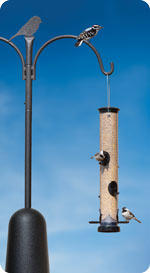 Adjustable Heavy Duty Garden Hanging Holder for Bird Feeders Lanterns Planting Hanger Weddings Decor FLY HAWK Shepherds Hook，51 Inch Outdoor Solid Bird Feeder Pole with 5 Pronger Base 1 Black 