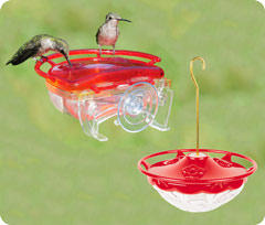 Mini Hummingbird Feeders